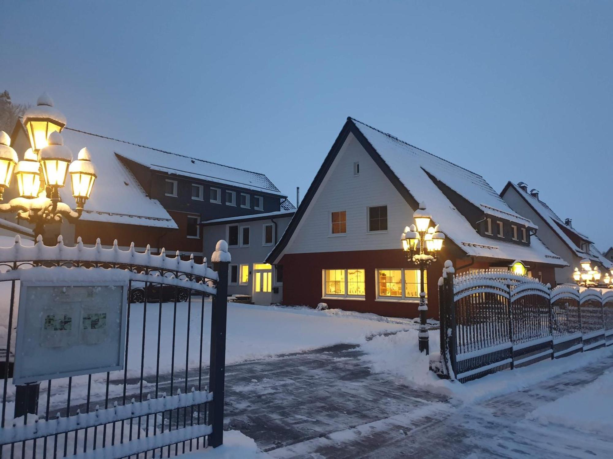 Fewo Herbst In Der Villa Waldrand Mit Luxus Bad Бад-Вюнненберг Экстерьер фото
